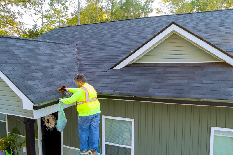 Roofing Service - Gutter and Flashing